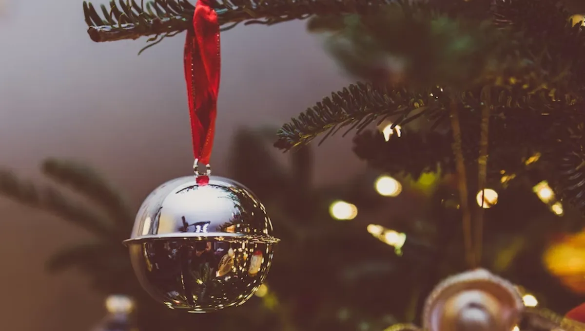 Різдвяний піст 2022 - коли буде відбуватися, що можна їсти Різдвяний піст 2022 - коли буде відбуватися, що можна їсти