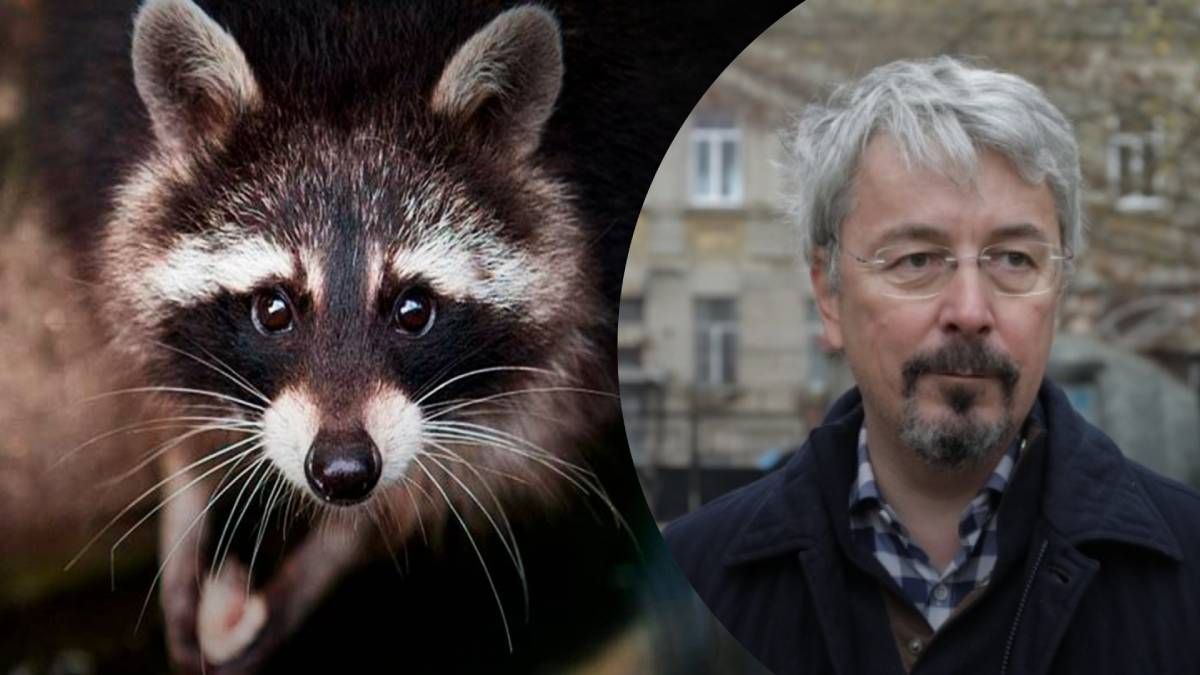 Росіяни вкрали єнота - Мінкульт пропонує обміняти його на пам'ятники Пушкіну Росіяни вкрали єнота - Мінкульт пропонує обміняти його на пам'ятники Пушкіну