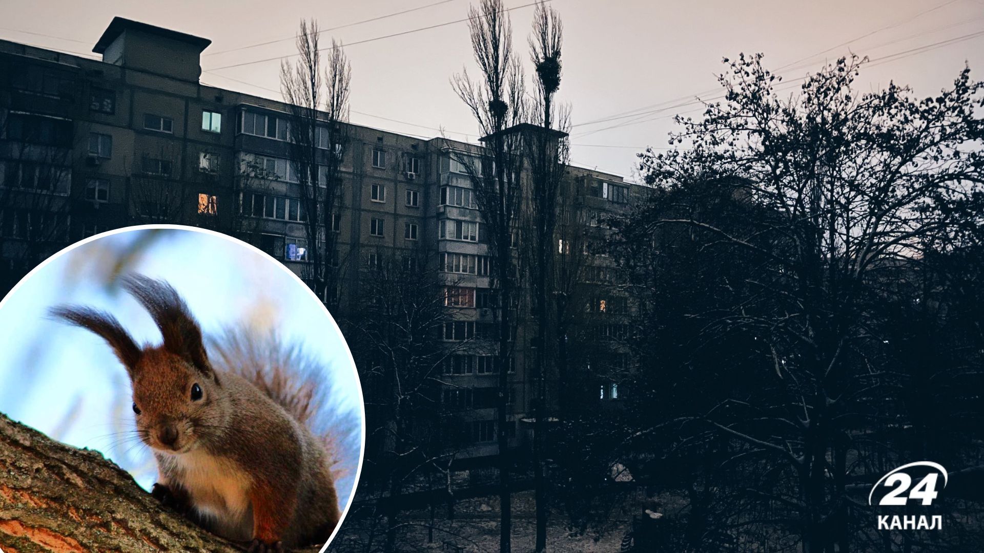 Погода в Україні - зими ще не буде, синоптики обіцяють потепління Погода в Україні - зими ще не буде, синоптики обіцяють потепління