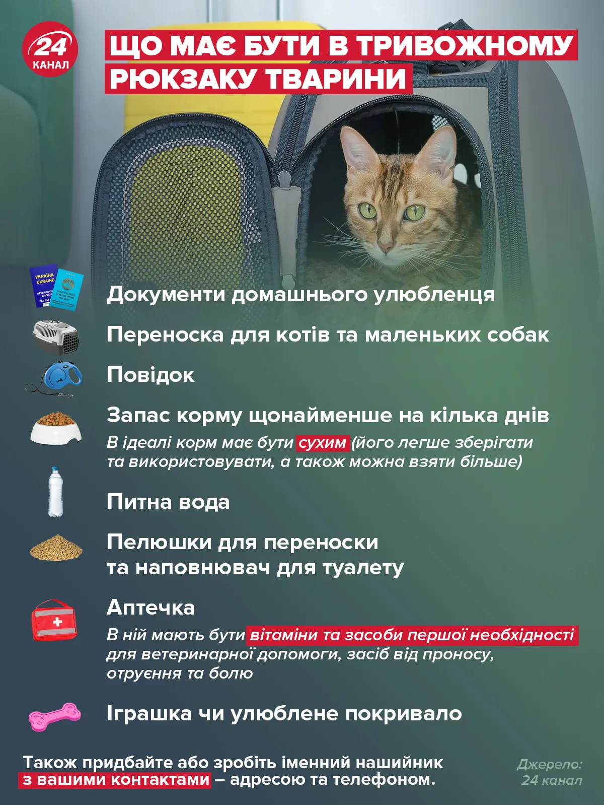 тривожний рюкзак для тварини: що покласти тривожний рюкзак для тварини: що покласти