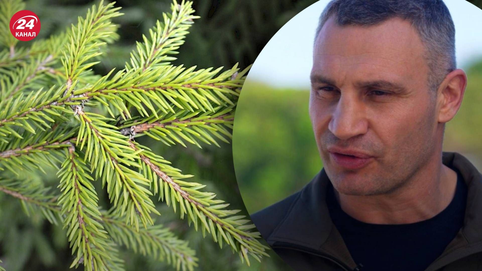 Новогодняя елка в Киеве 2023 - Кличко рассказал, какой она будет Новогодняя елка в Киеве 2023 - Кличко рассказал, какой она будет