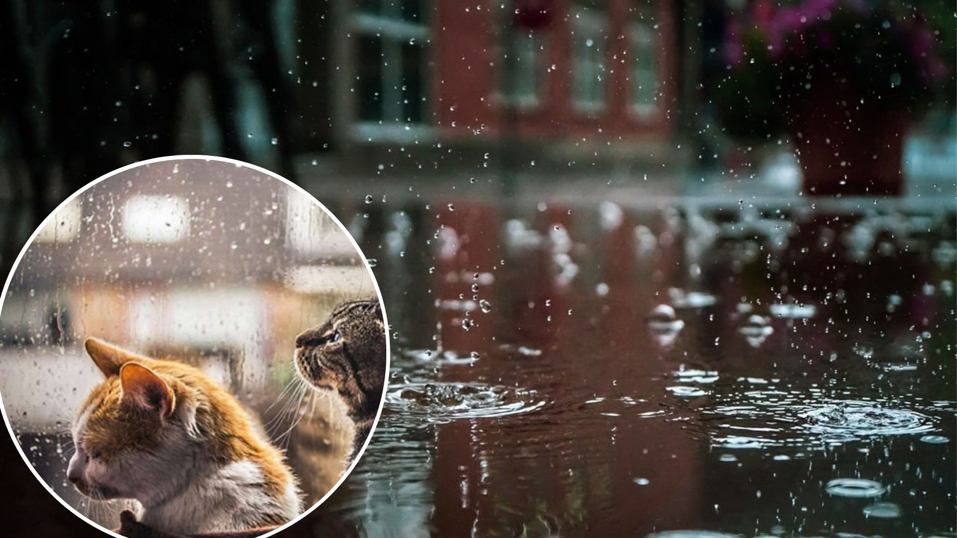 Погода в Україні - синоптики обіцяють дощі на вихідні Погода в Україні - синоптики обіцяють дощі на вихідні