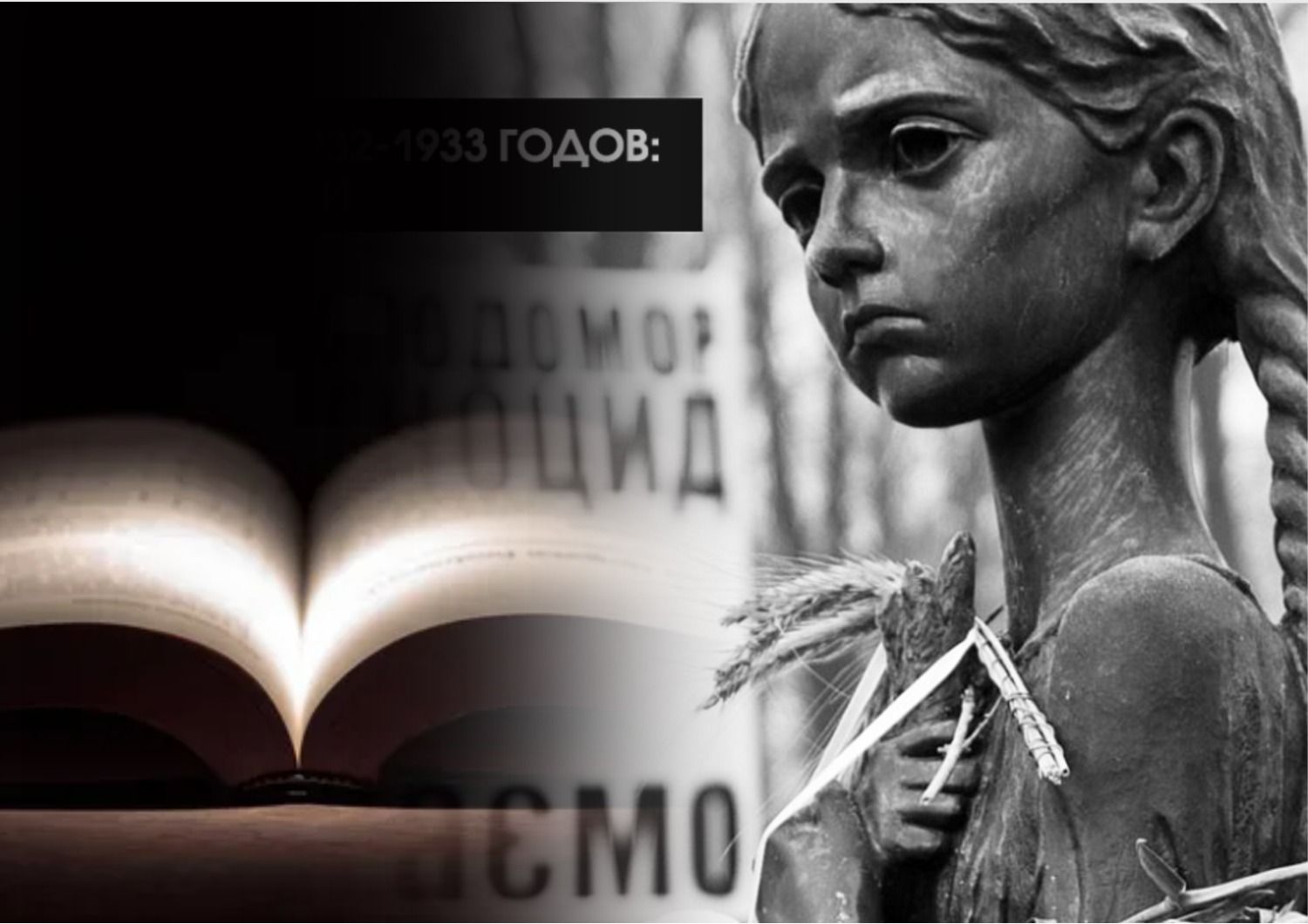 Какие книги о Голодоморе прочитать - подборка лучших - 24 канал - Образование Какие книги о Голодоморе прочитать - подборка лучших - 24 канал - Образование