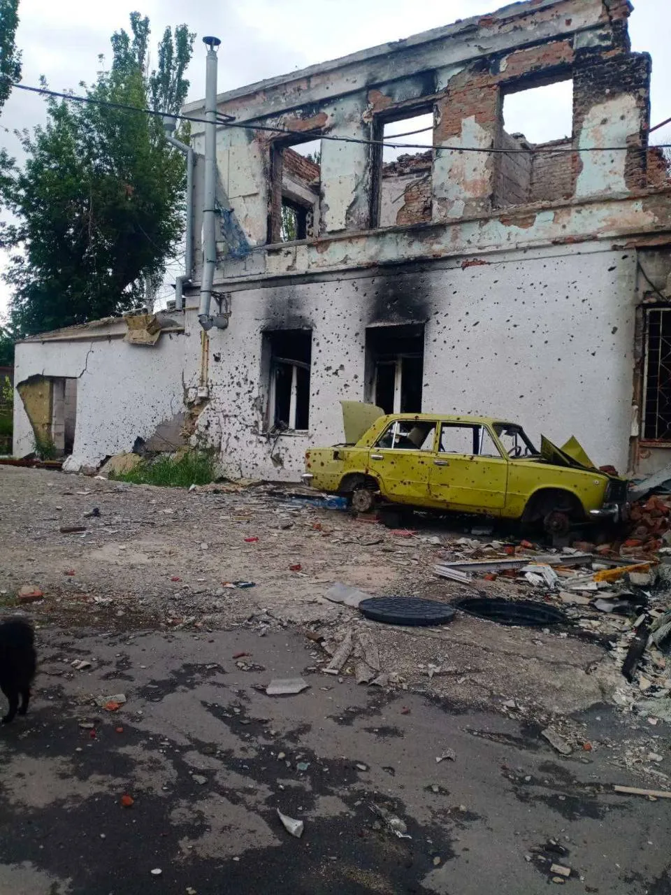 Дом Александра Дом Александра