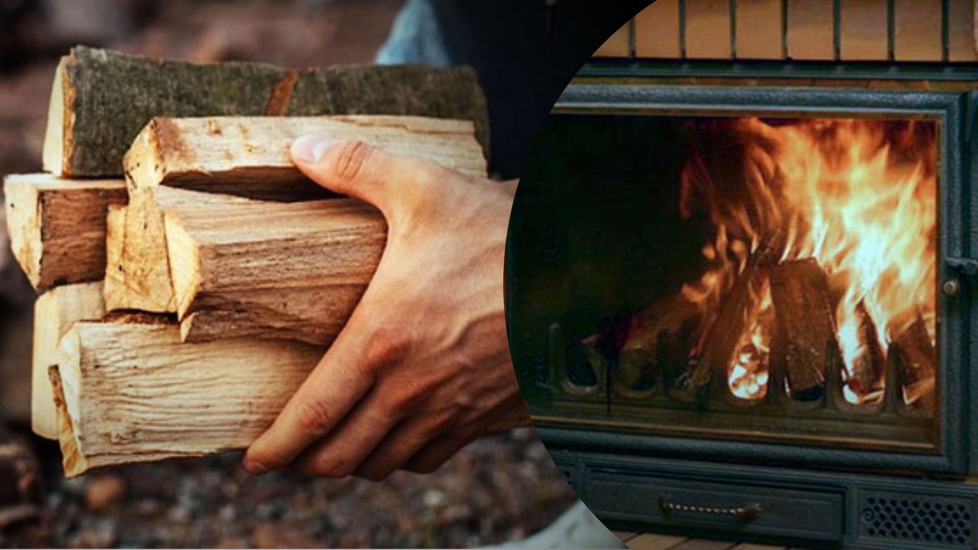 Как получить безвозмездные дрова от государства Как получить безвозмездные дрова от государства