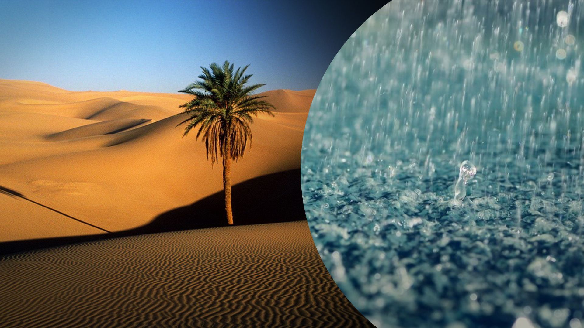Пустелю Саудівської Аравії розмило після аномальних дощів