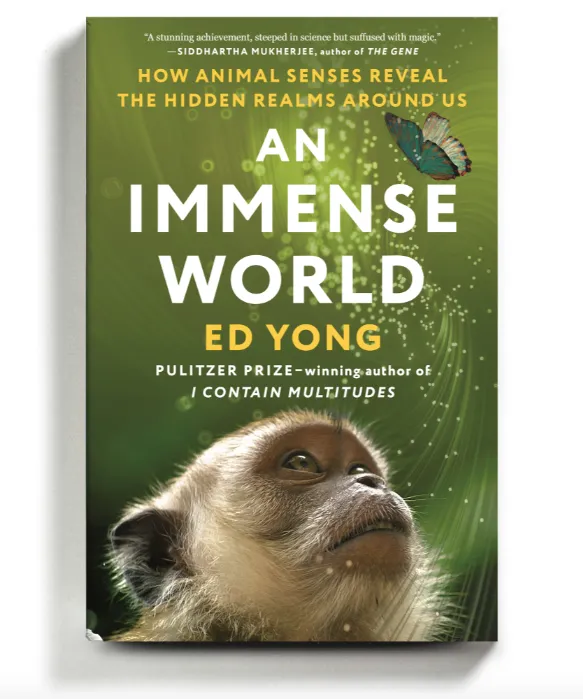 The New York Times назвала найкращі книжки 2022 року The New York Times назвала найкращі книжки 2022 року