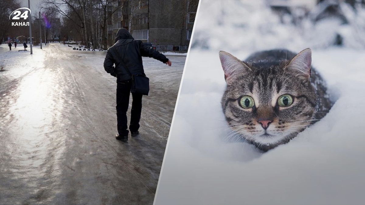 Погода в Україні 3 грудня – синоптики прогнозують мокрий сніг та хмарність