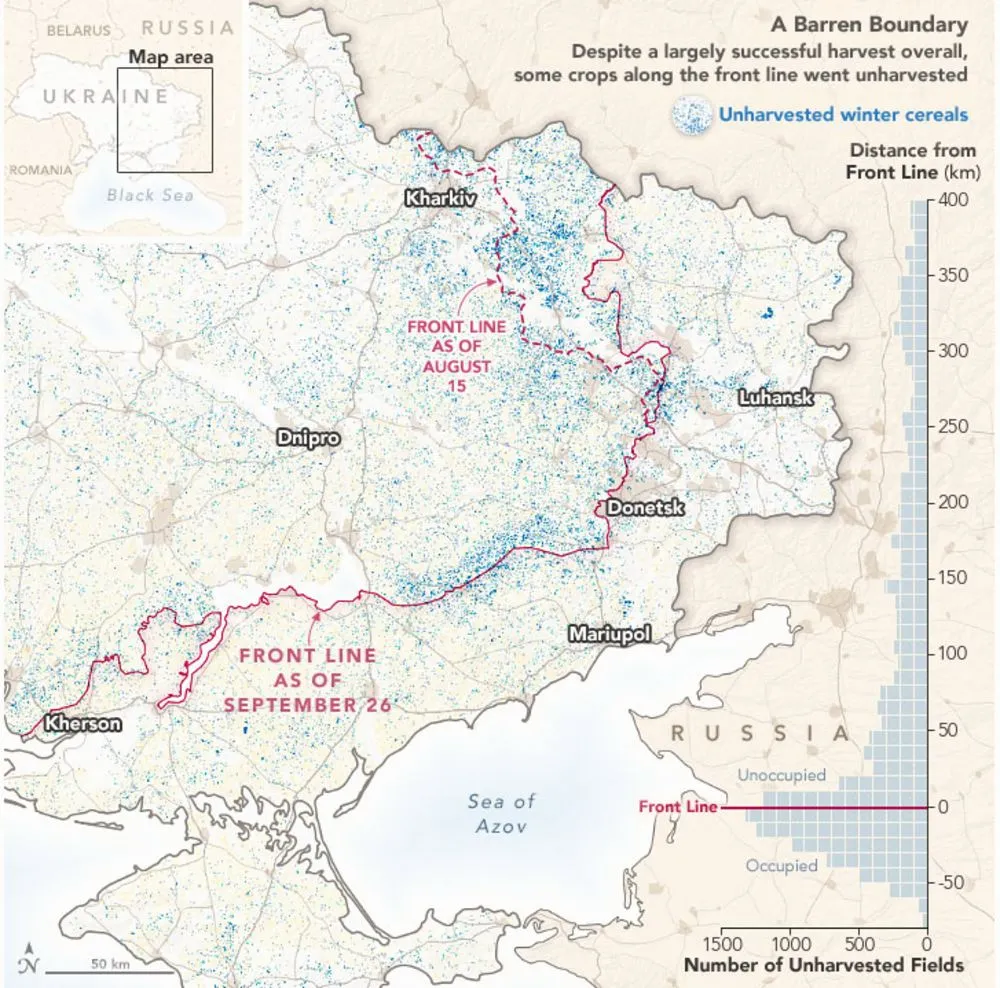 Росія краде зерно в України