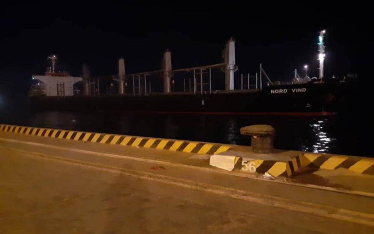 В рамках программы Grain from Ukraine в Джибути прибыло первое судно В рамках программы Grain from Ukraine в Джибути прибыло первое судно