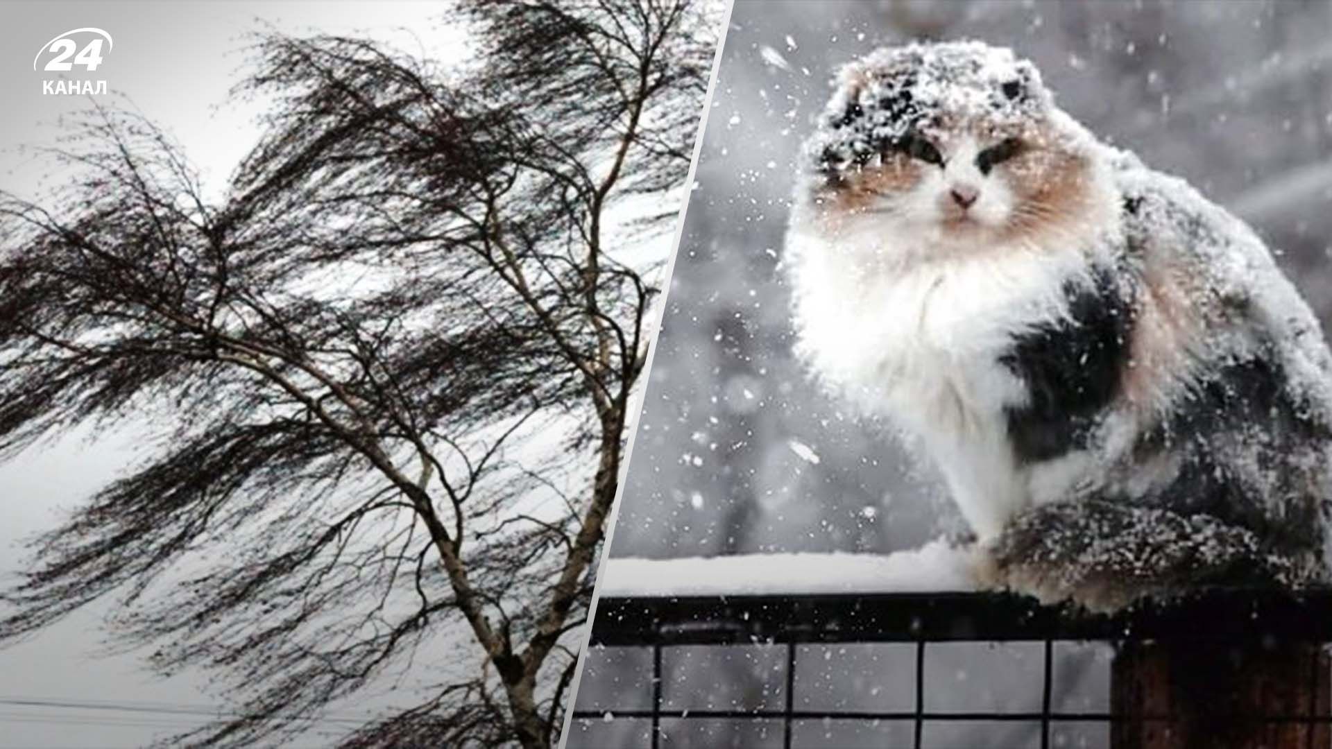 Прогноз погоды на 5 декабря. Прогноз погоды на 5 декабря.