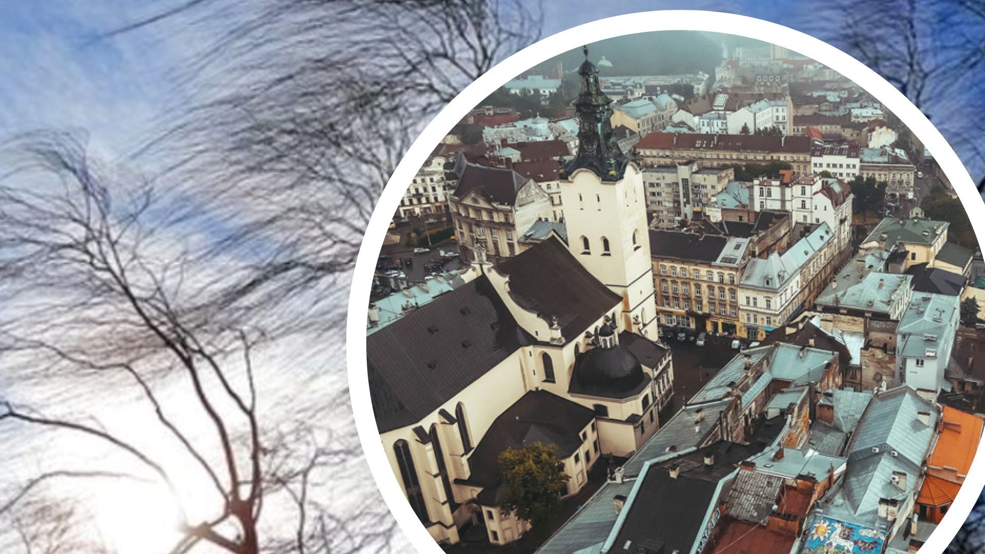 Во Львове прогнозируют порывы ветра Во Львове прогнозируют порывы ветра