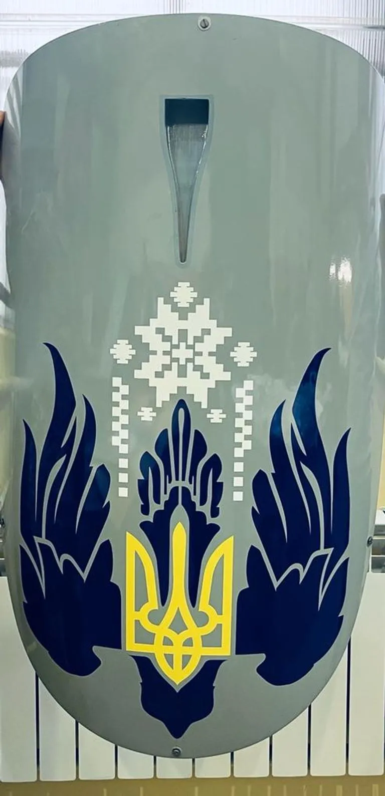 Ударний безпілотник Ударний безпілотник