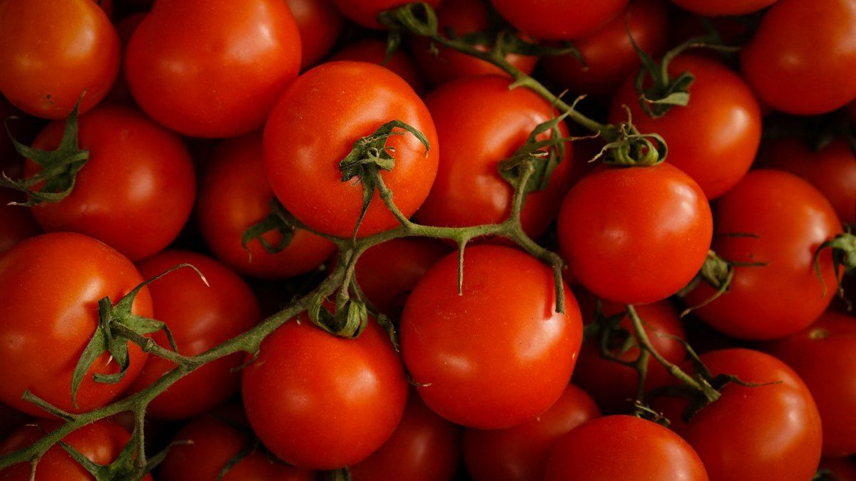 На МКС будут выращивать помидоры в рамках исследований NASA - Техно