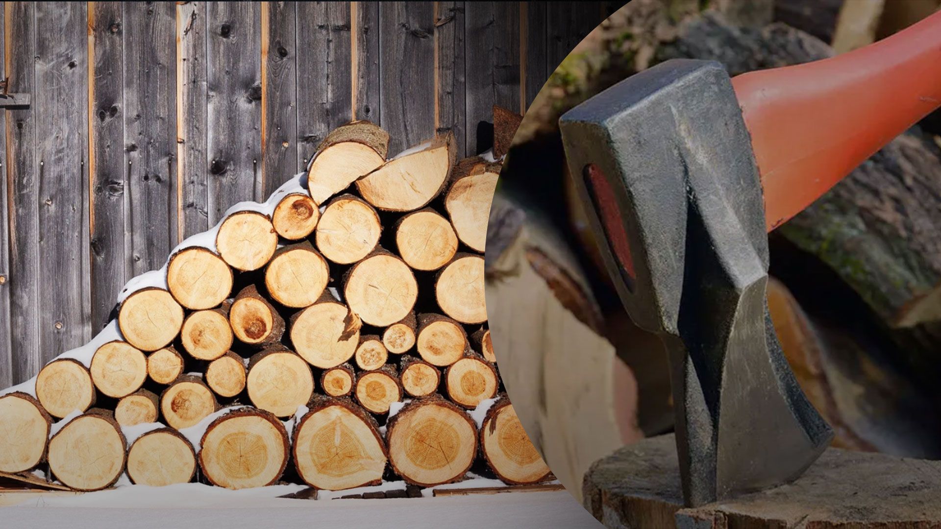 Цієї зими лісовики створили рекордний запас дров