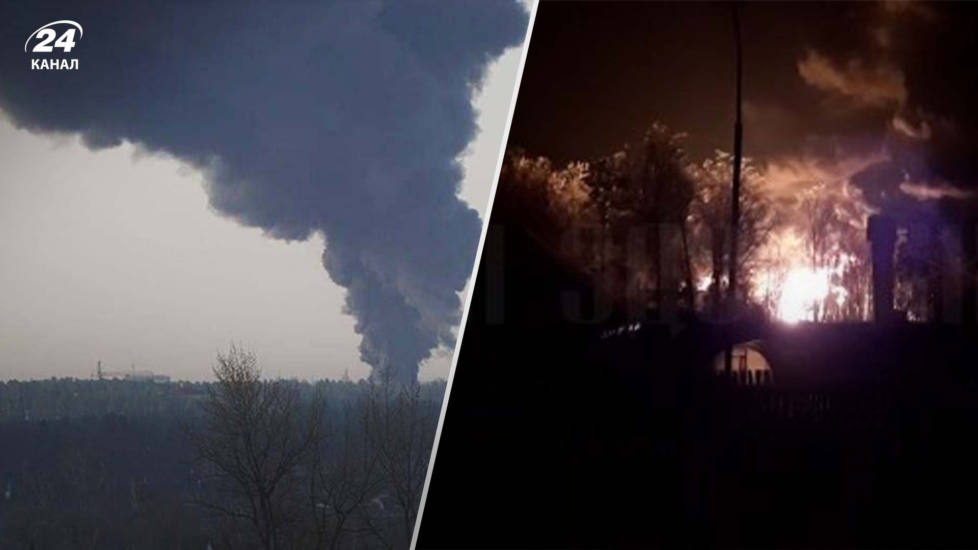 У Брянськ завітало "бавовнятко" У Брянськ завітало "бавовнятко"