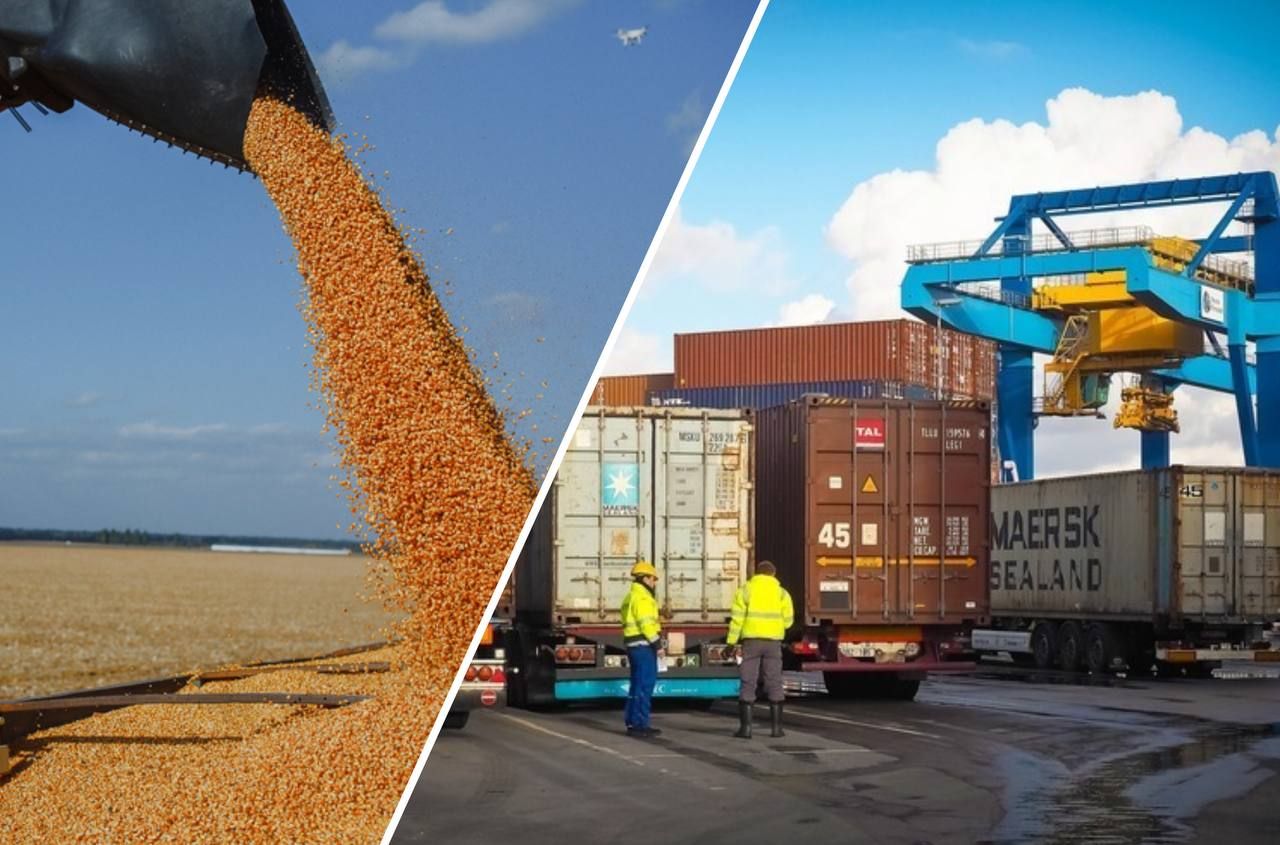 Агро экспорт Украины в 2022 составил более 21 млрд долл. – экспорт в рамках зернового соглашения
