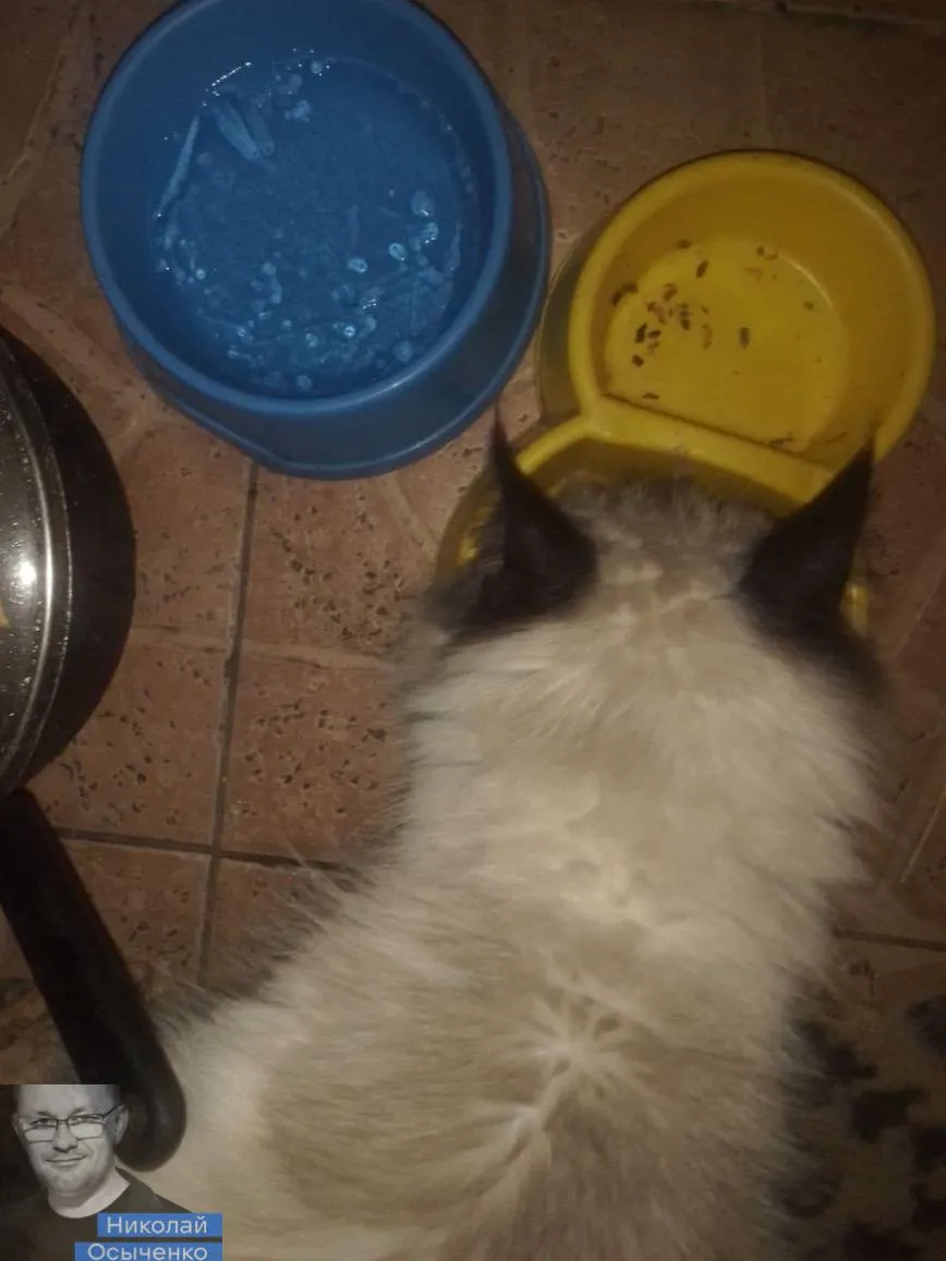 В Мариуполе гуманитарная катастрофа В Мариуполе гуманитарная катастрофа