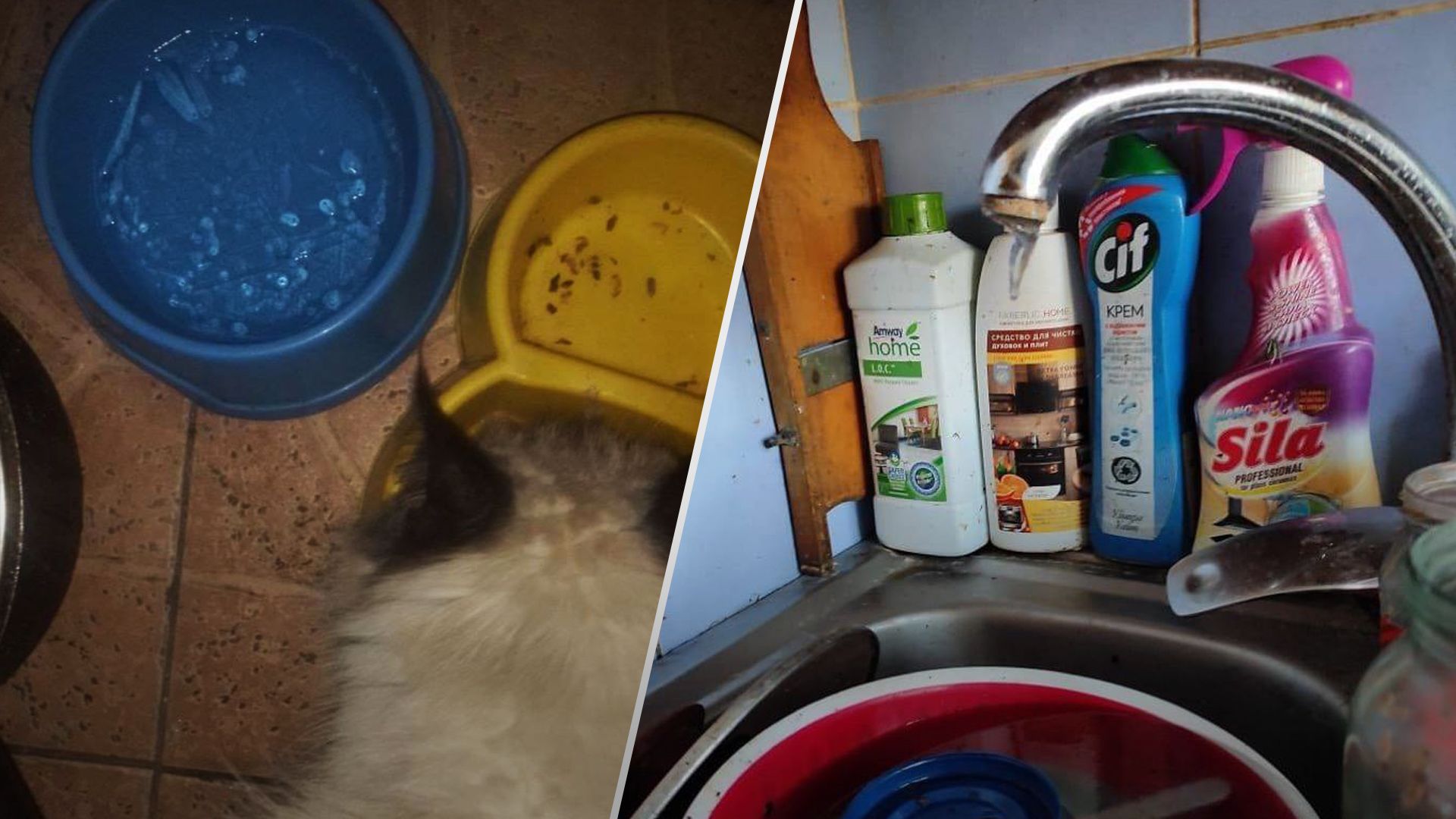 В Мариуполе в квартирах настолько холодно, что замерзает вода В Мариуполе в квартирах настолько холодно, что замерзает вода