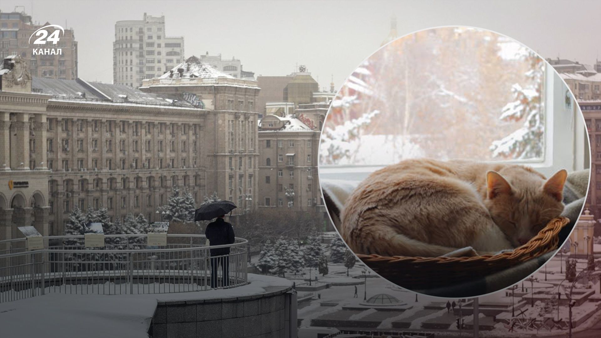 8 декабря будет плюсовая температура 8 декабря будет плюсовая температура