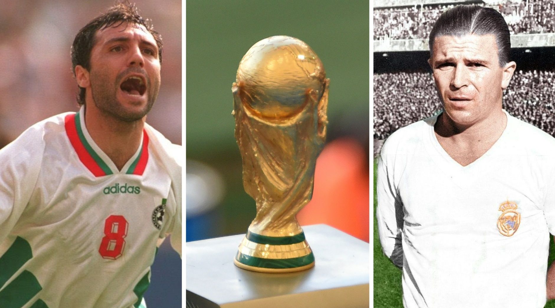 чемпионы ЧМ - 24 Канал чемпионы ЧМ - 24 Канал