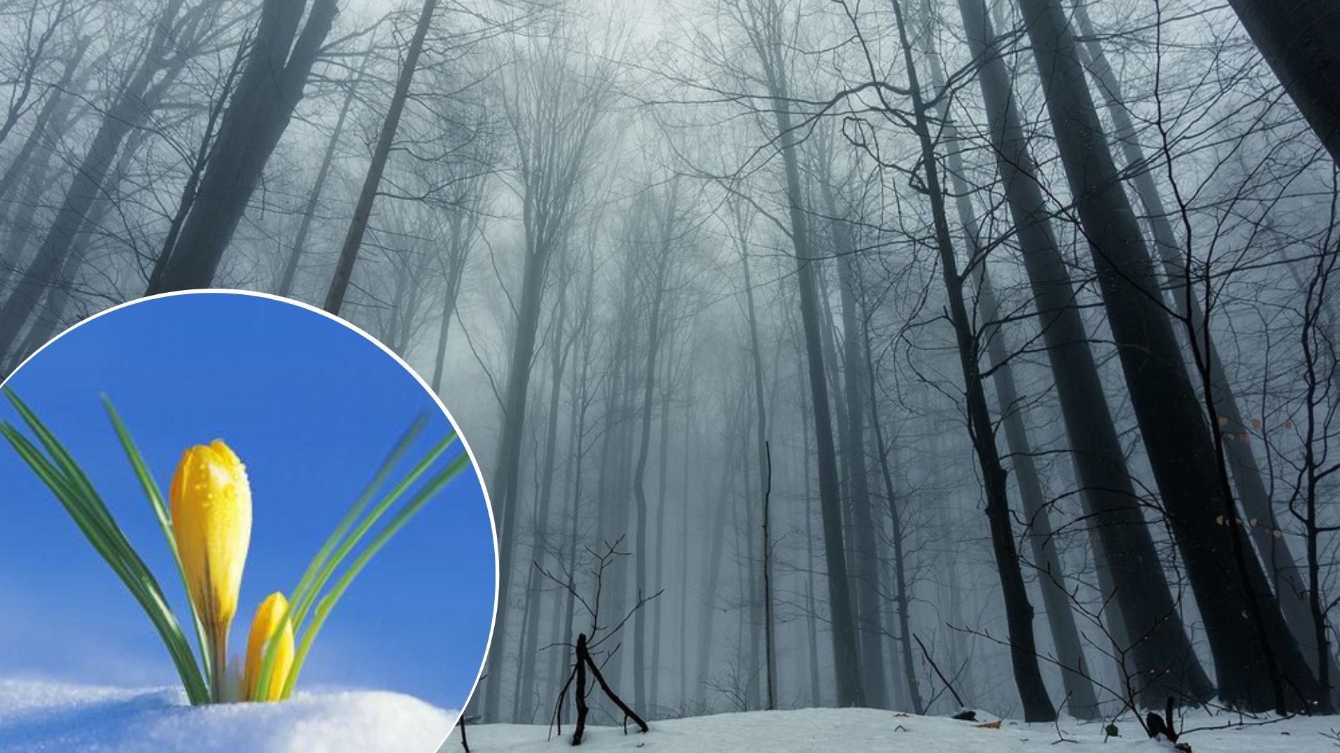 Погода в Україні - у грудні в Україну прийде весна Погода в Україні - у грудні в Україну прийде весна