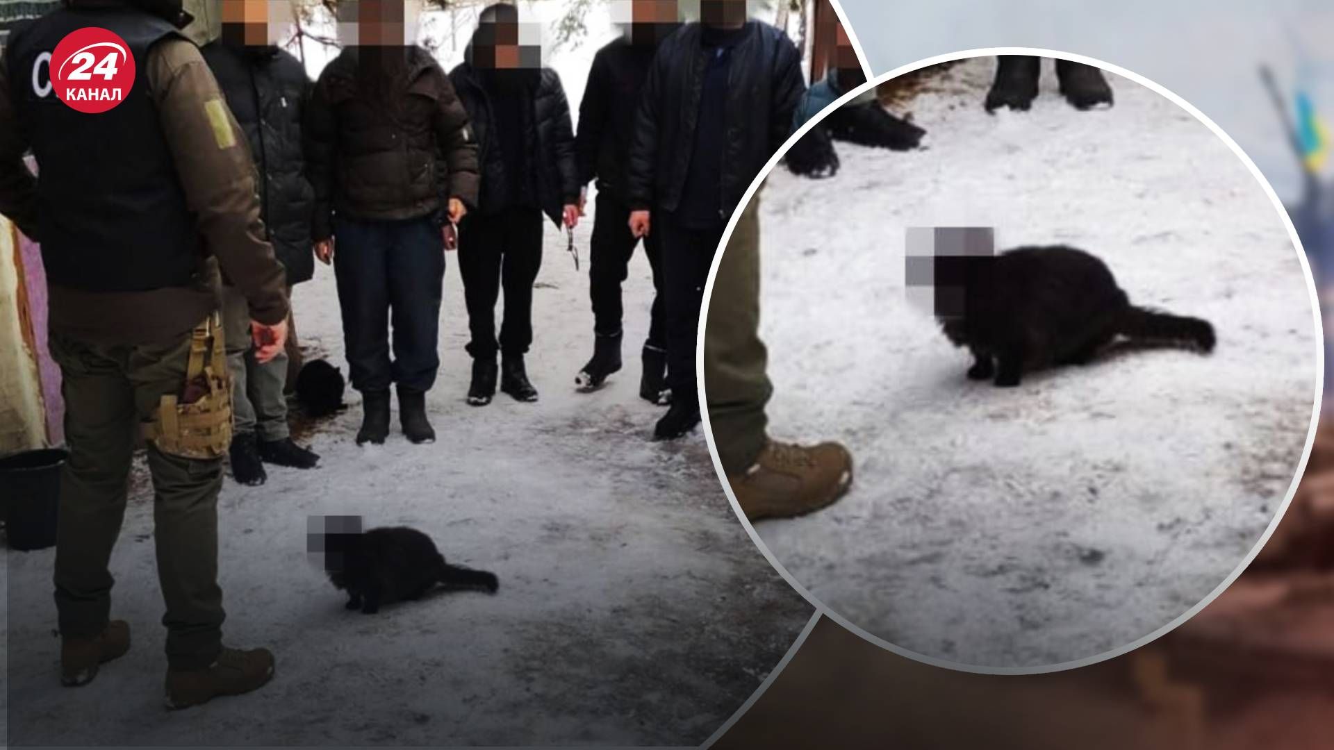 Обшуки СБУ в храмах УПЦ МП - у мережі обговорюють фото кота Обшуки СБУ в храмах УПЦ МП - у мережі обговорюють фото кота