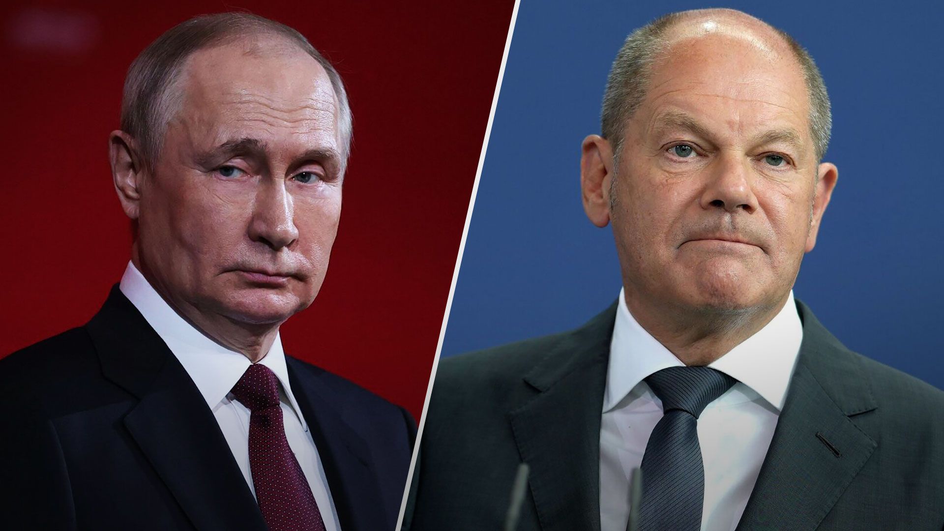 Шольц готов обсуждать с Путиным контроль над вооружениями в Европе - 24 Канал Шольц готов обсуждать с Путиным контроль над вооружениями в Европе - 24 Канал