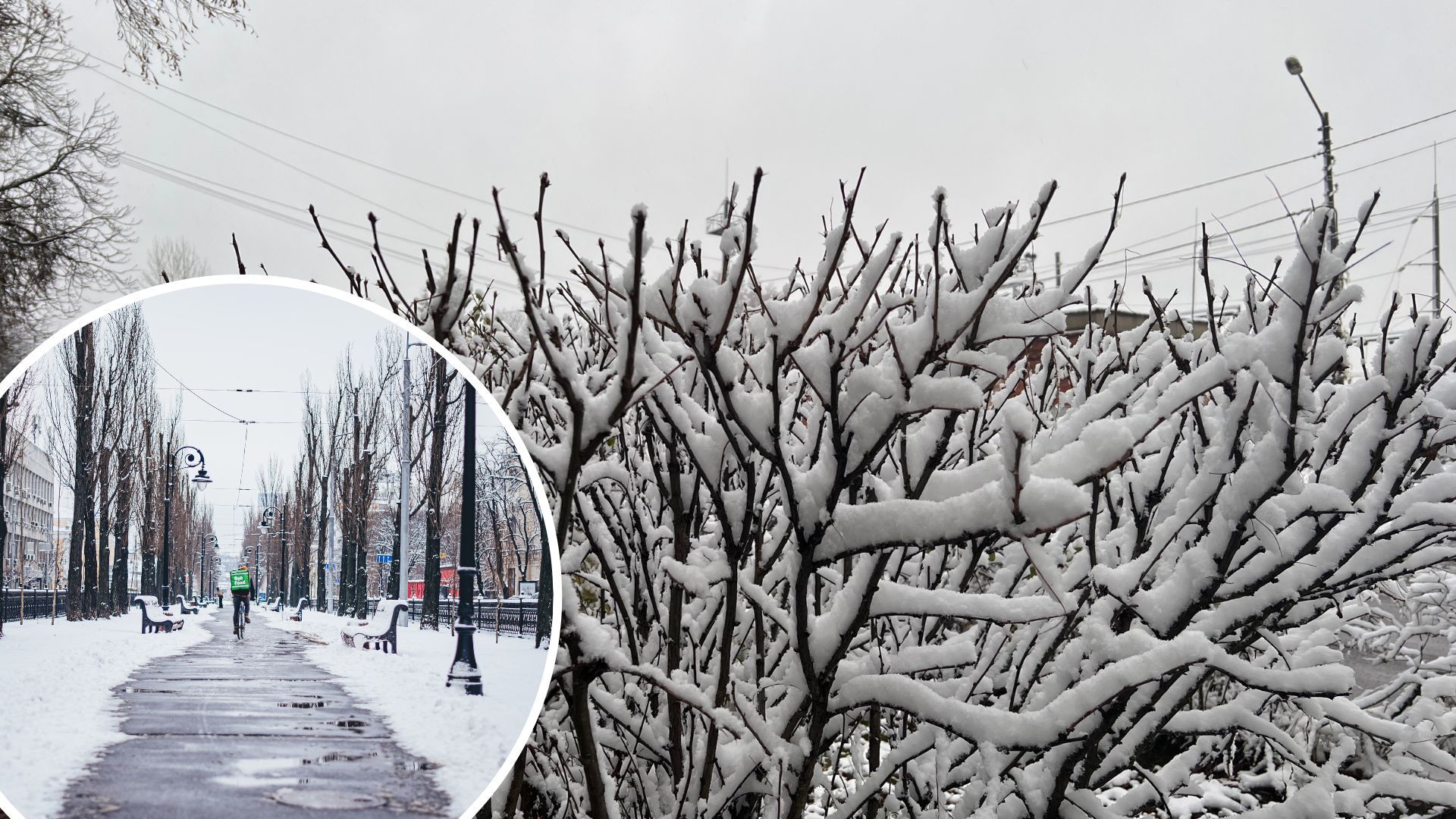 Погода на Новий Рік 2023 у Києві