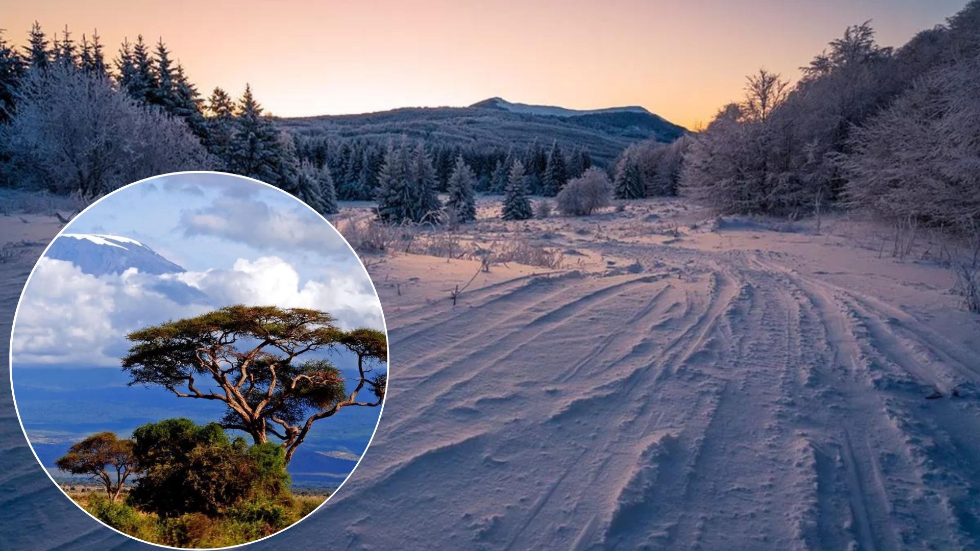 Погода - в Україну в грудні вривається африканське тепло Погода - в Україну в грудні вривається африканське тепло