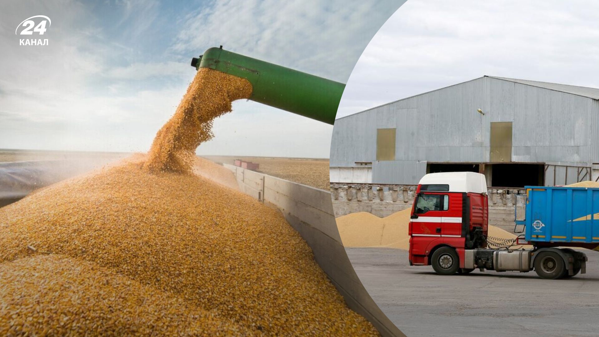 Экспорт украинского зерна - Беларусь согласилась на транзит через свою страну