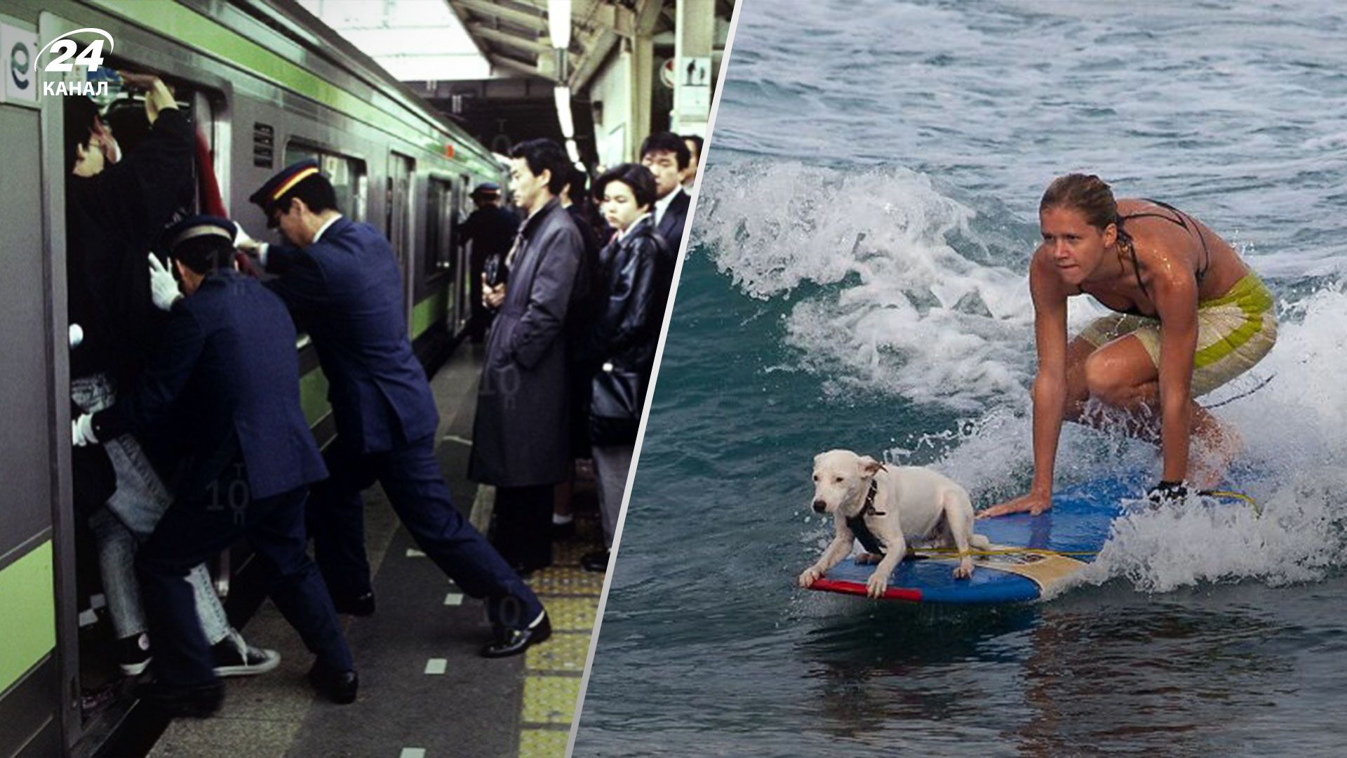 10 нетипичных и странных профессий, которые существуют сегодня 10 нетипичных и странных профессий, которые существуют сегодня