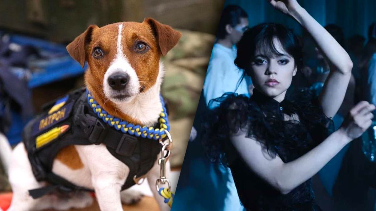 Пес паторн танцует не хуже Венздей Пес паторн танцует не хуже Венздей