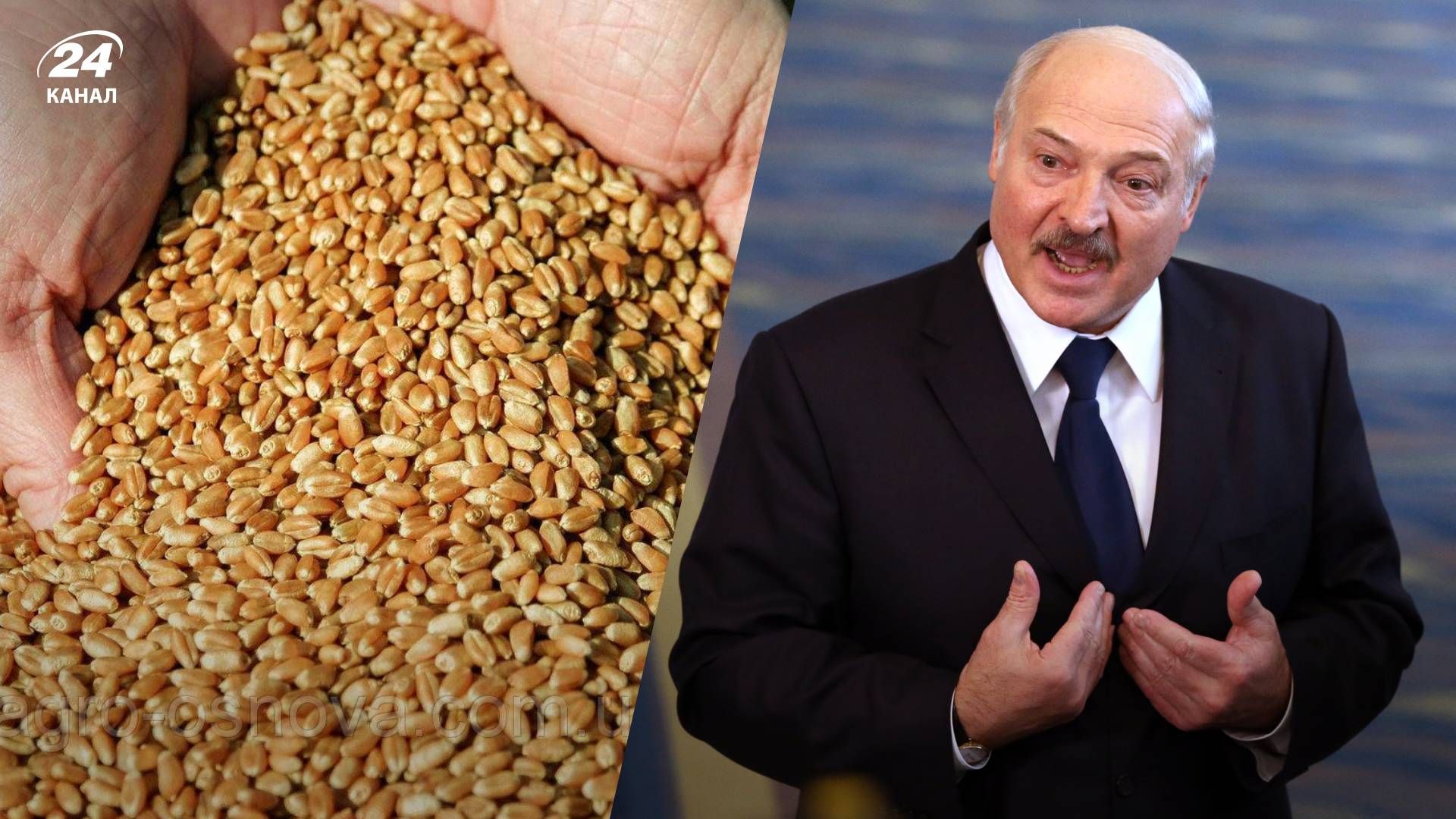 Транзит зерна з України через Білорусь - яку пастку приготував Лукашенко