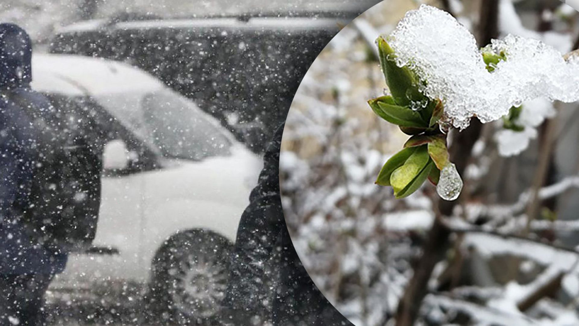 Какая будет погода в Украине 12 декабря 2022 Какая будет погода в Украине 12 декабря 2022