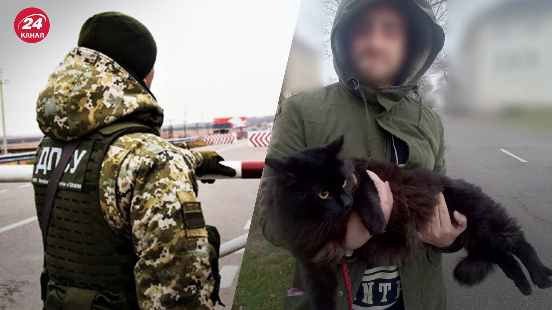 ГНСУ задержала одессита с котом, который хотел незаконно пересечь границу ГНСУ задержала одессита с котом, который хотел незаконно пересечь границу