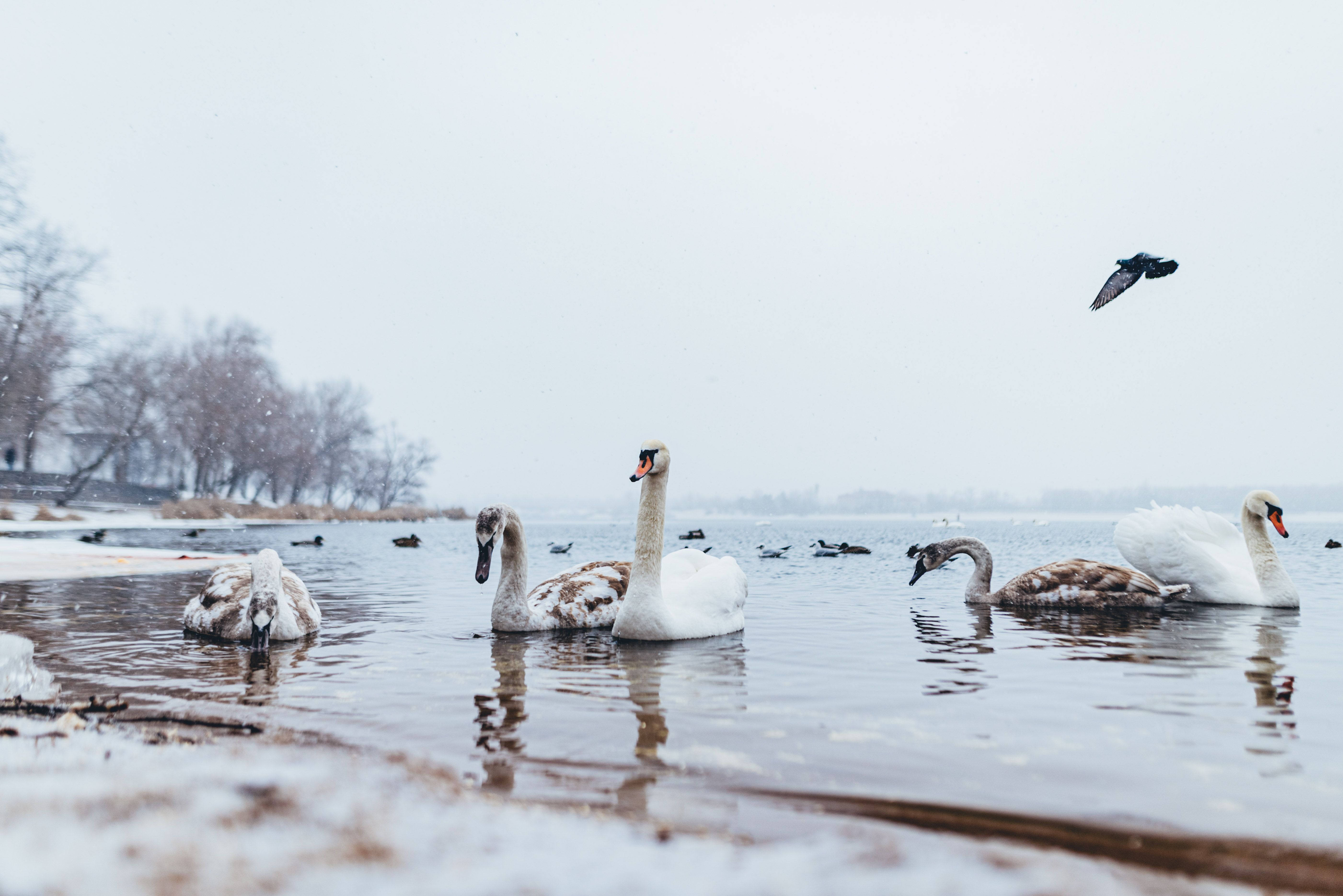 Погода в Украине резко станет теплее и выпадут дожди, - синоптик Погода в Украине резко станет теплее и выпадут дожди, - синоптик