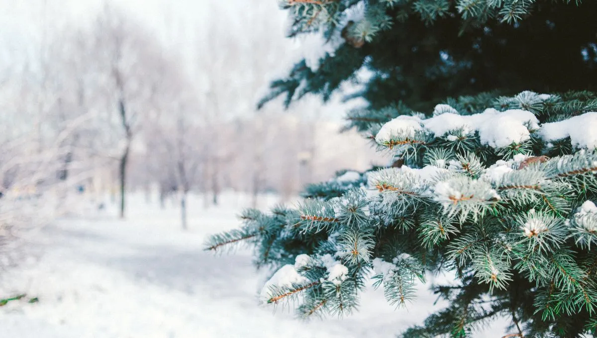 День Святого Николая – что нельзя делать, народные приметы в праздник День Святого Николая – что нельзя делать, народные приметы в праздник