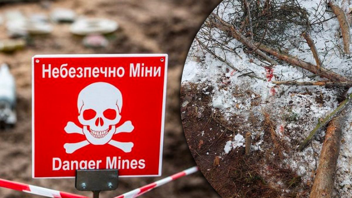 Из-за взрыва мины в Киевской области пострадал человек