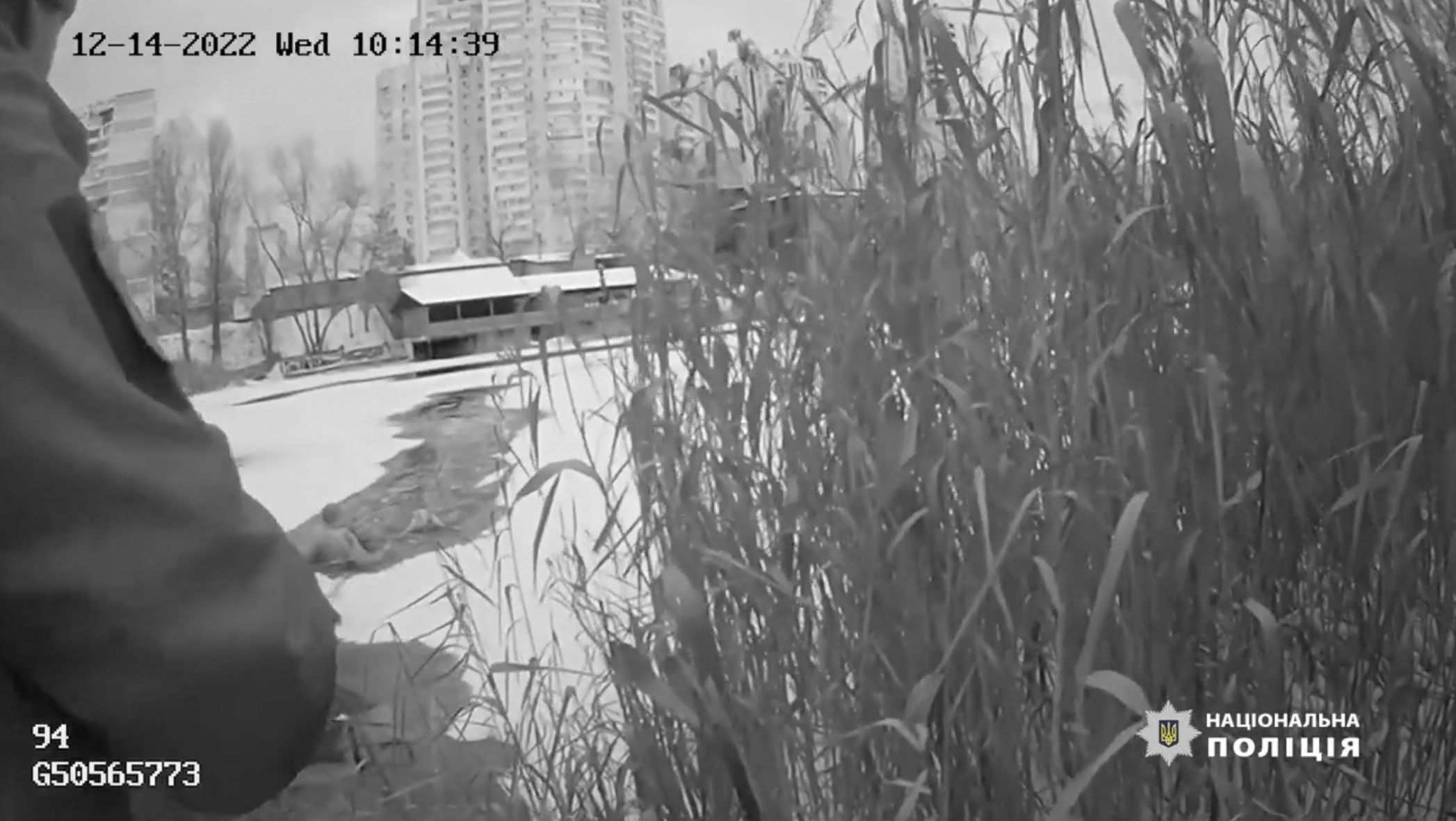 В Киеве спасли женщину, которая с собакой провалилась под лед
