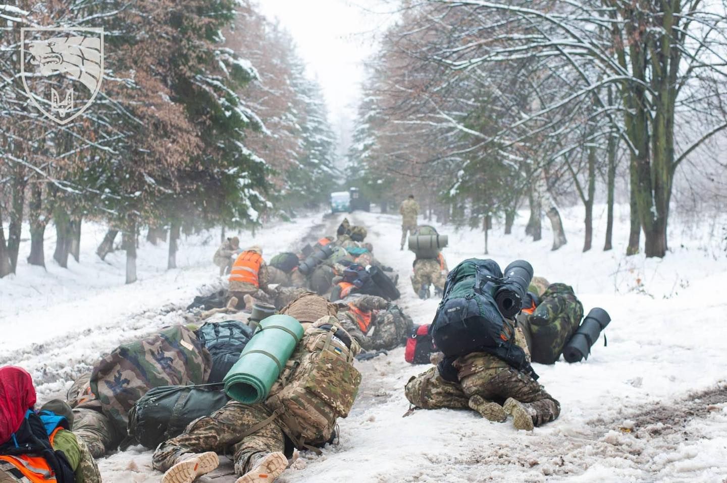 Чи буде тимчасове припинення вогню на Новий рік Чи буде тимчасове припинення вогню на Новий рік
