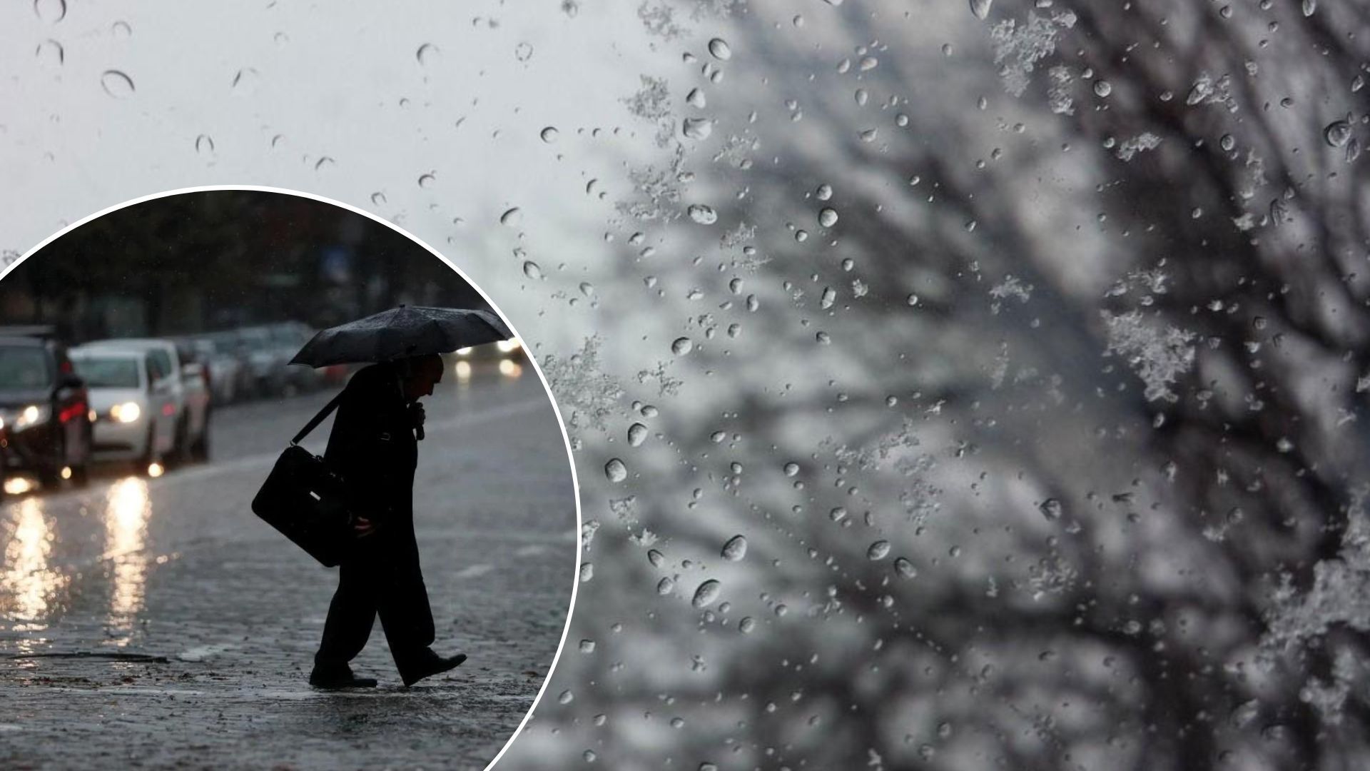 Погода в Украине будет дождливой – где синоптики обещают мокрый период Погода в Украине будет дождливой – где синоптики обещают мокрый период