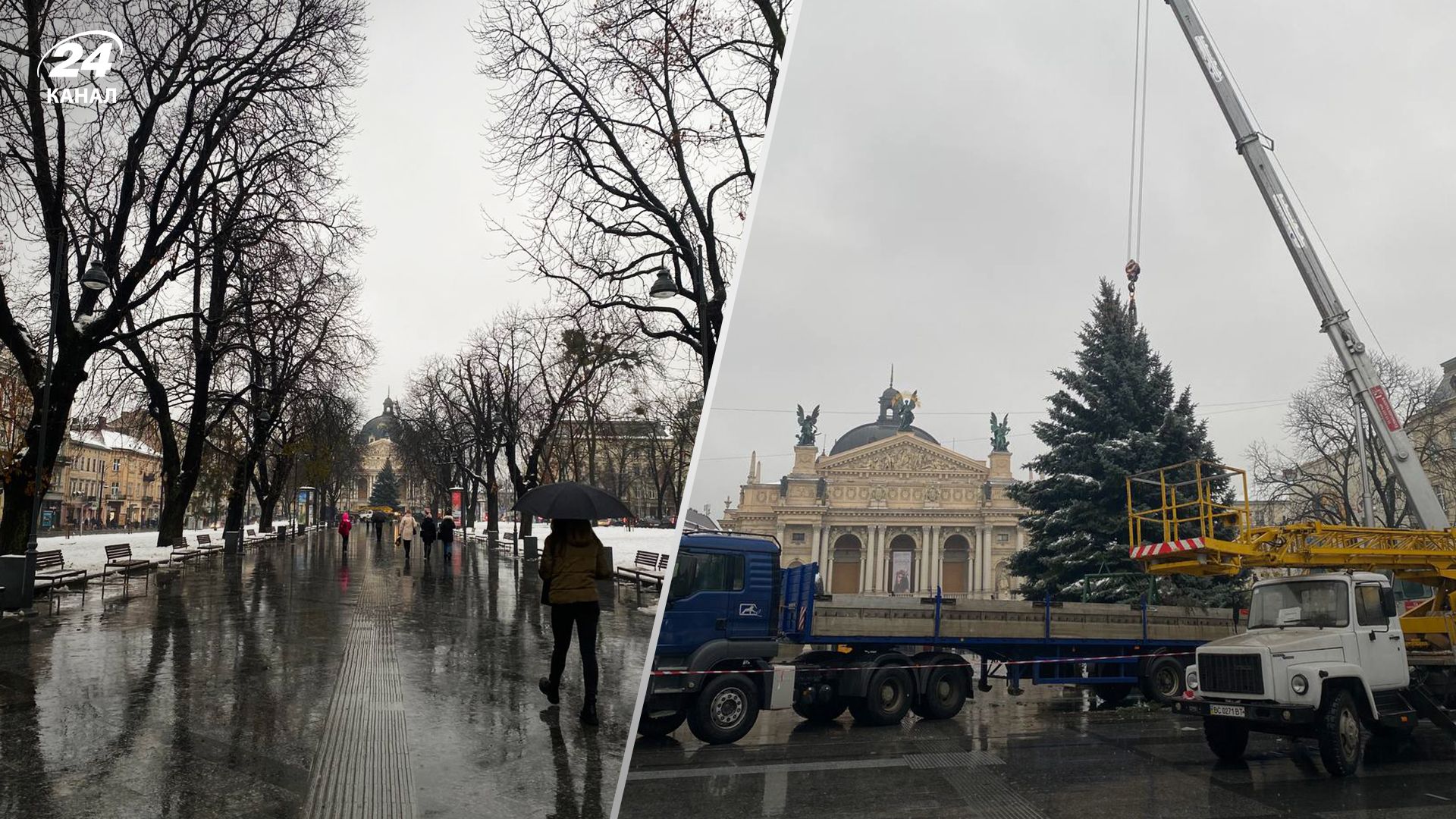 У Львові 16 грудня 2022 встановили головну ялинку – фото