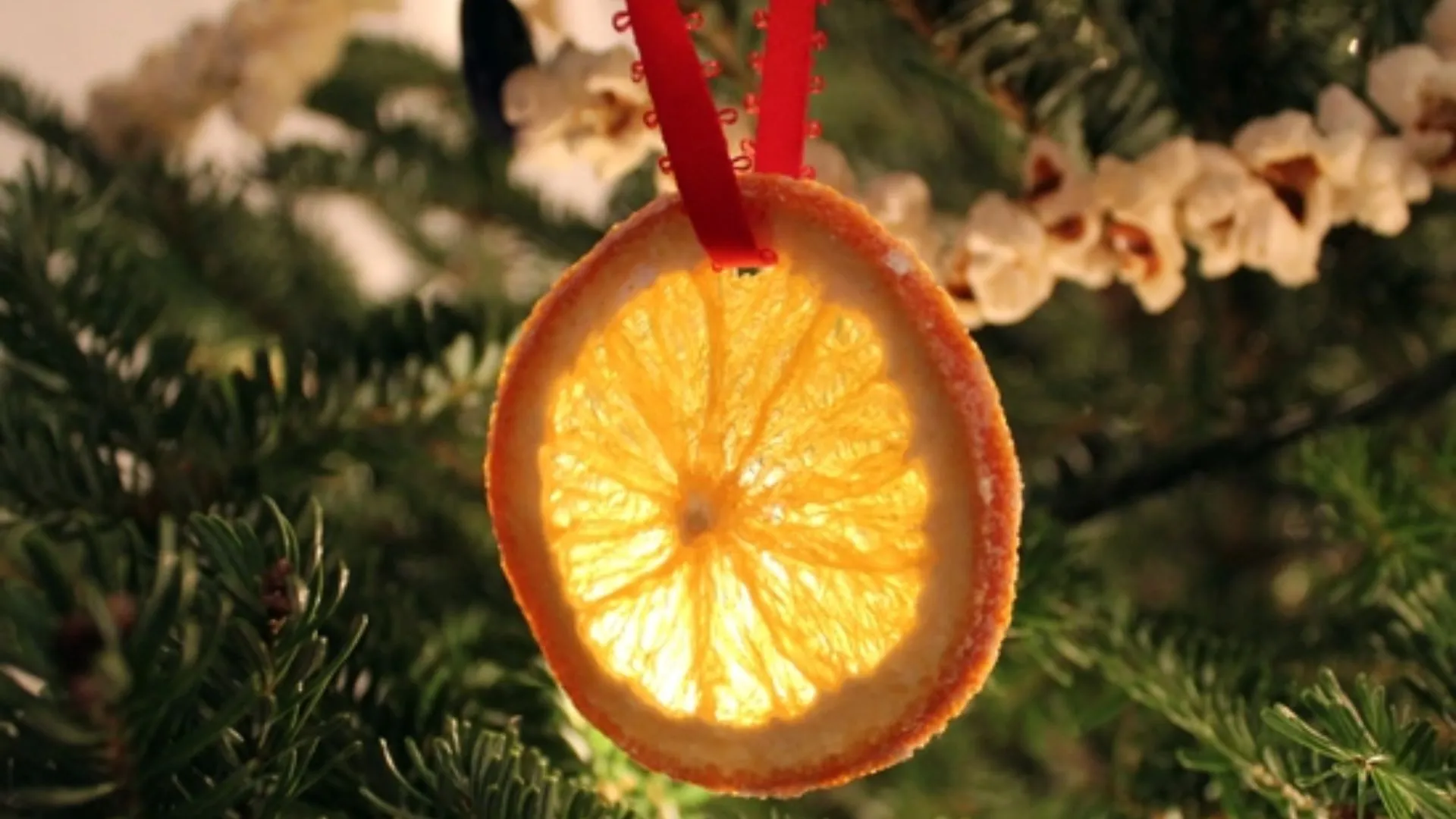 Прикраси з мандаринової шкірки Прикраси з мандаринової шкірки