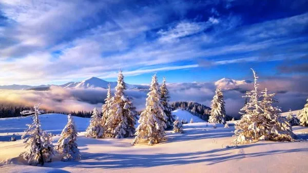 День зимнего солнцестояния 2022 – когда будет, история праздника День зимнего солнцестояния 2022 – когда будет, история праздника