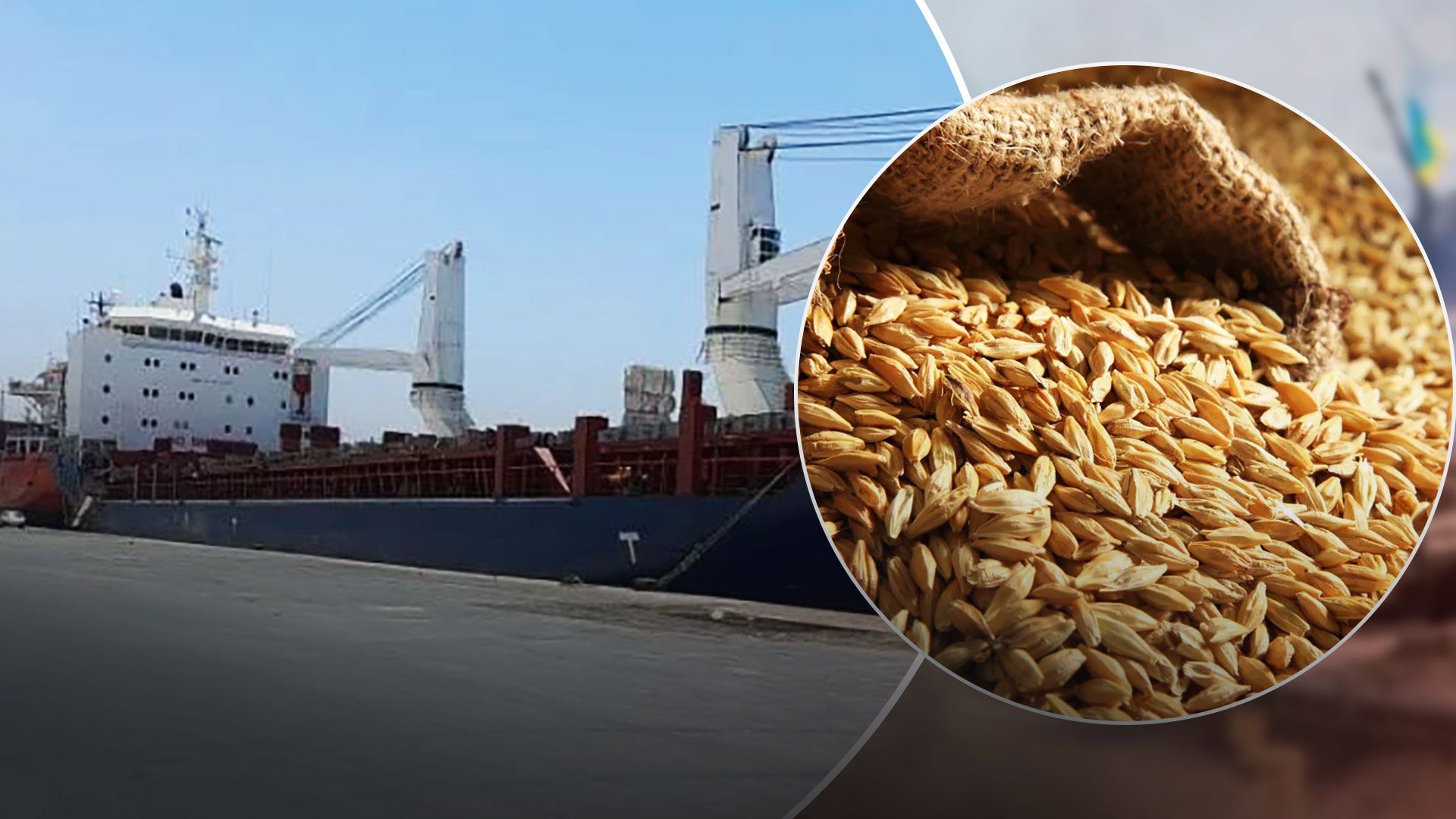 Россия увеличила экспорт краденого зерна Украины в Сирию - 24 Канал