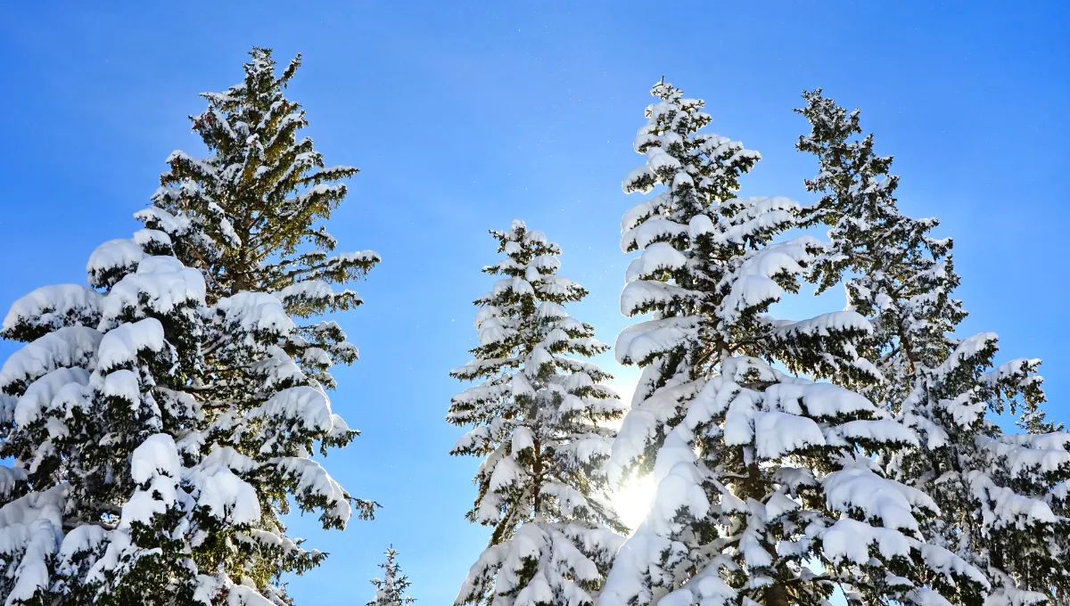 День зимнего солнцестояния – что нельзя делать, приметы День зимнего солнцестояния – что нельзя делать, приметы