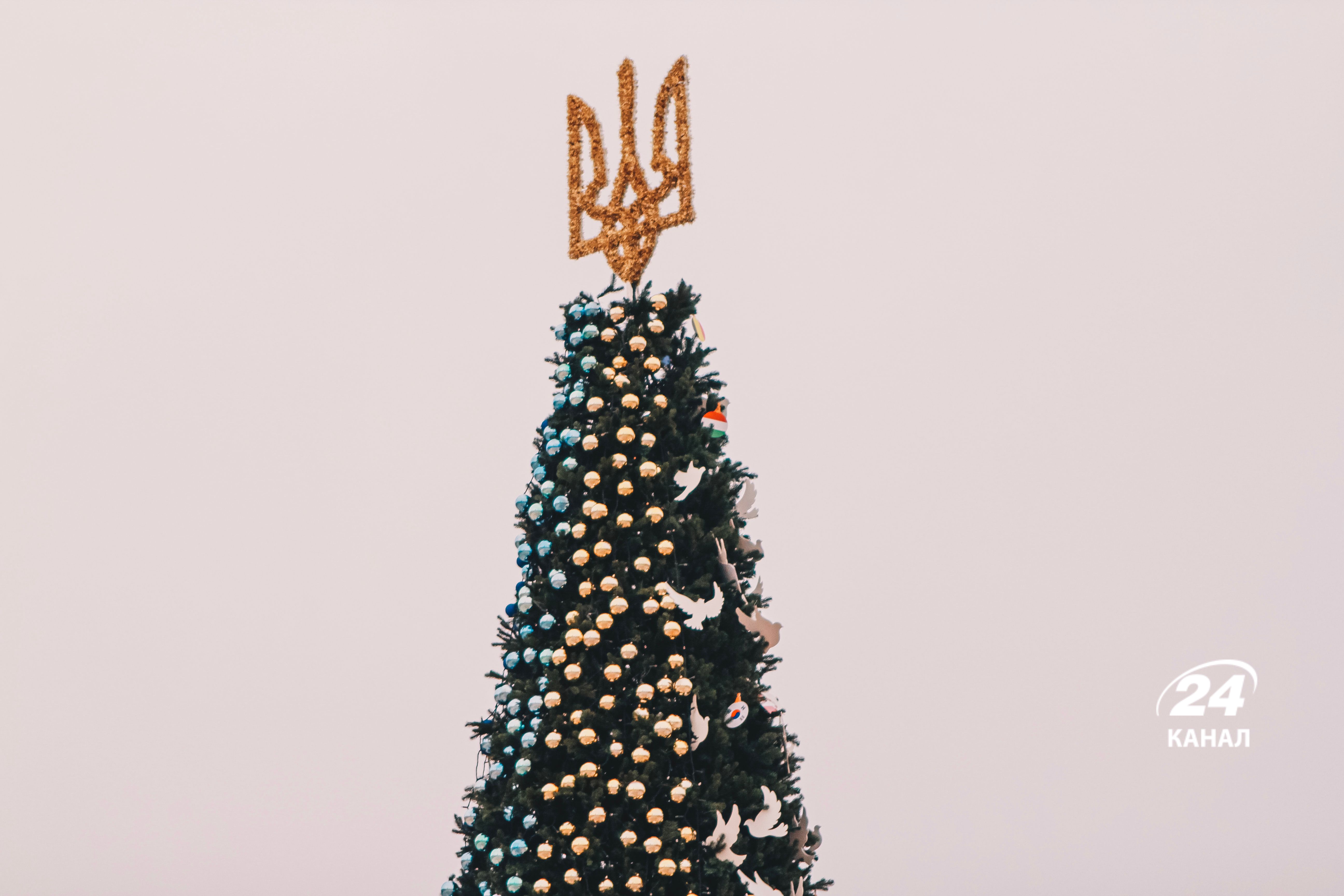 В Киеве зажгли главную елку В Киеве зажгли главную елку