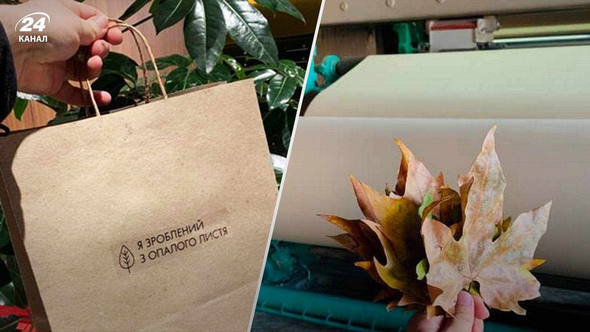 Український екостартап Releaf Paper отримав грант у 2,5 мільйона євро від Єврокомісії і планує збудувати три заводи Український екостартап Releaf Paper отримав грант у 2,5 мільйона євро від Єврокомісії і планує збудувати три заводи