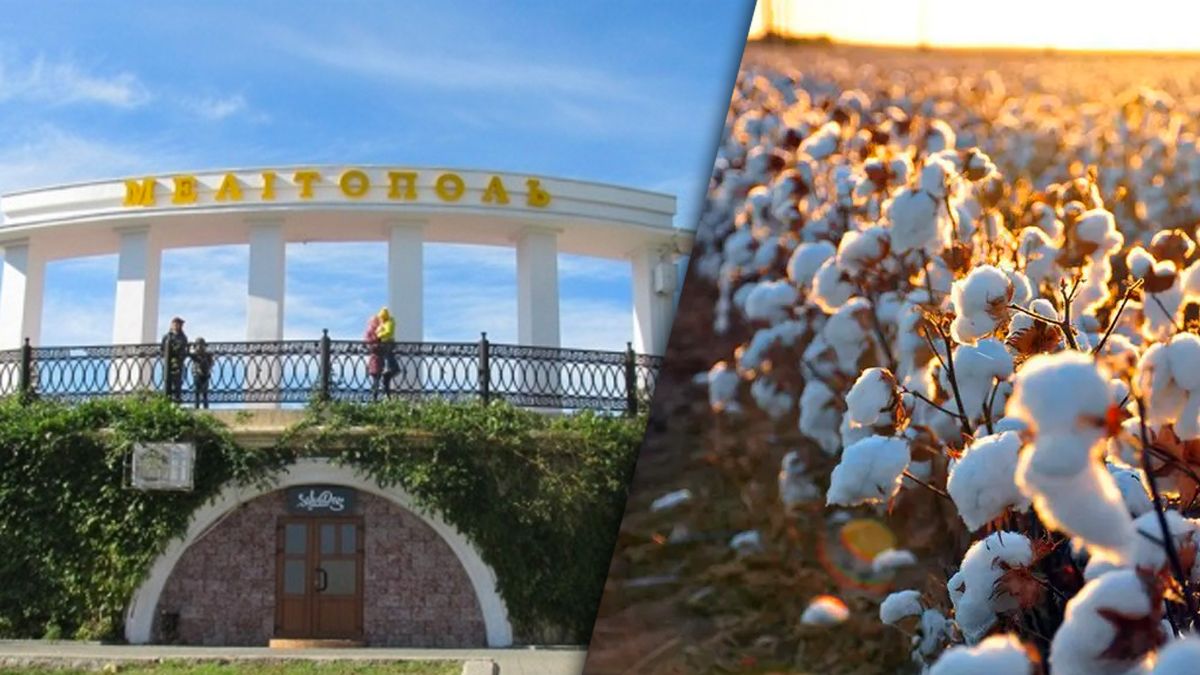 В оккупированном Мелитополе снова взрывы В оккупированном Мелитополе снова взрывы